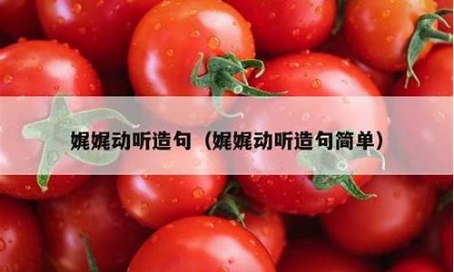 娓娓动听造句子短句简单-用娓娓动听和回味无穷造句