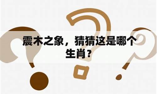 袖打一生肖是什么-袖这个字念什么